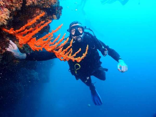 Erkundung der Unterwasserwelt Kroatiens und Bootsausflüge Erkundung der Unterwasserwelt Kroatiens und Bootsausflüge