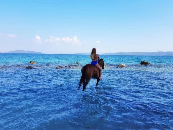 Reiten im Hinterland von Kastela sowie romantische Fotoshootings am Strand