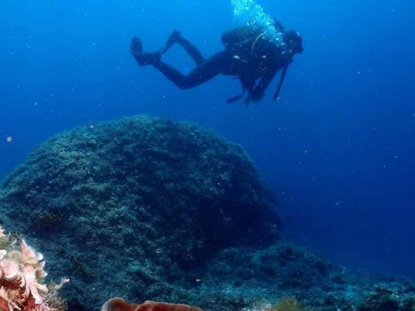 Erkundung der Unterwasserwelt Kroatiens und Bootsausflüge Erkundung der Unterwasserwelt Kroatiens und Bootsausflüge